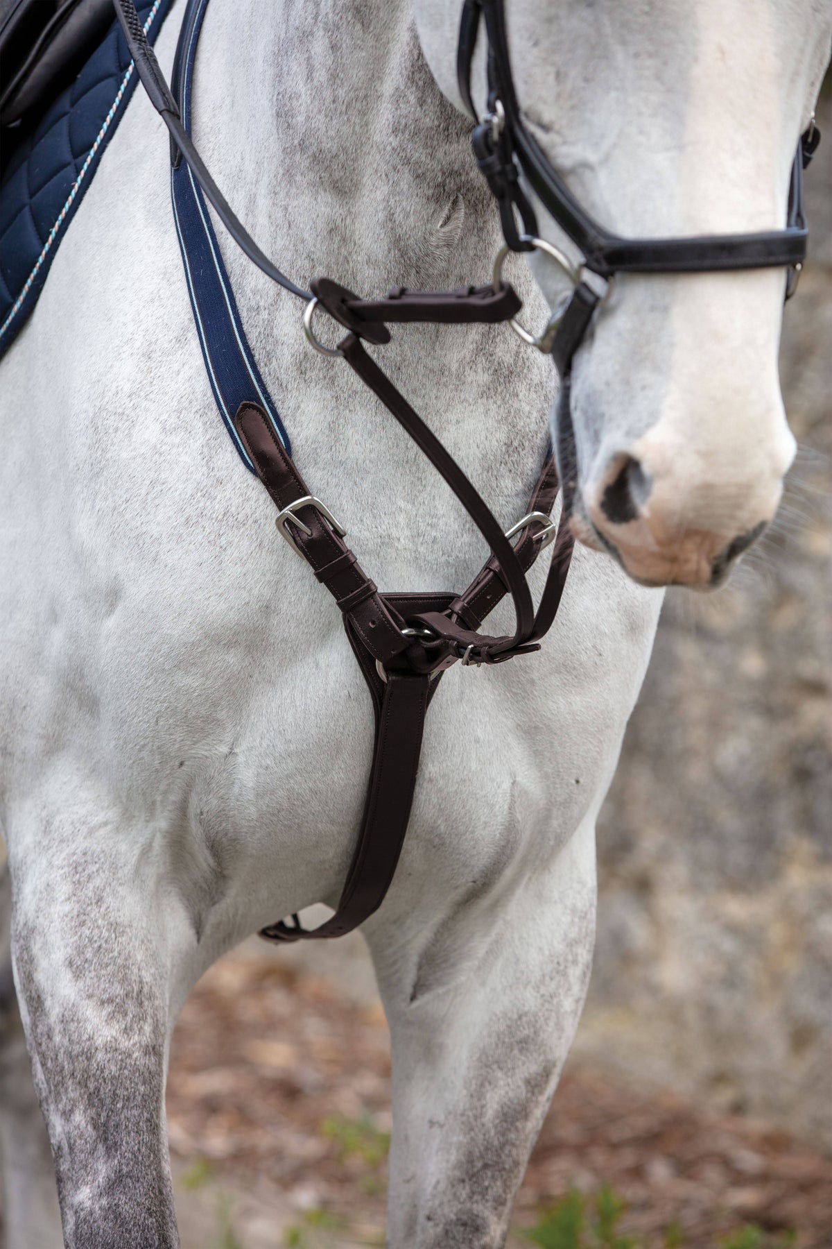Brown Cob Breastplate W4085