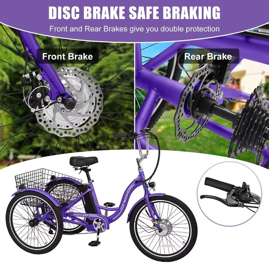 3 Wheel 500W Electric Trike N788388