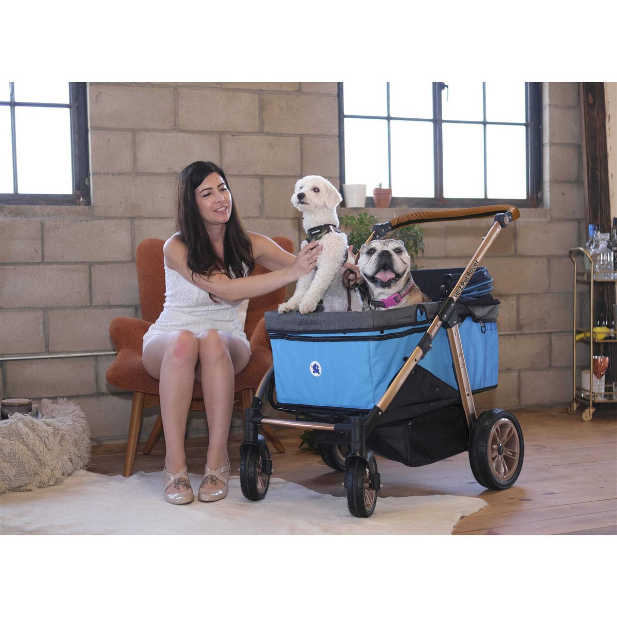 Pet Stroller K642487