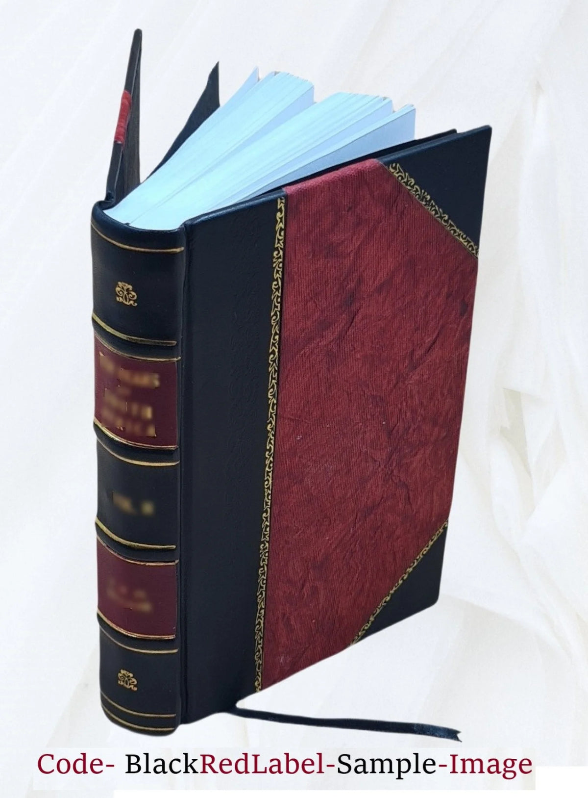 Rabbi Shalom in the shores of the Black Sea V63597