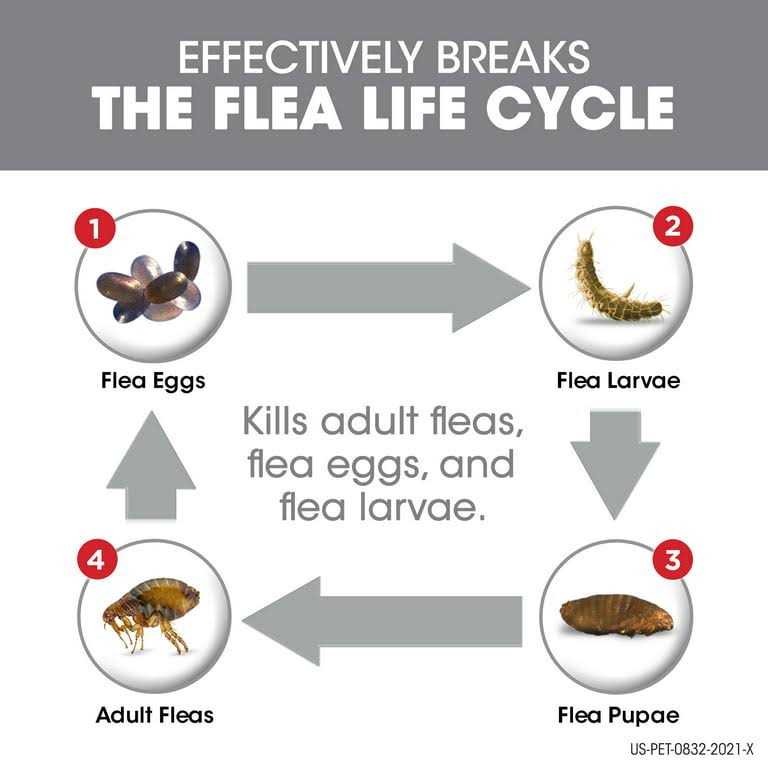 Flea Tick Dogs P754268