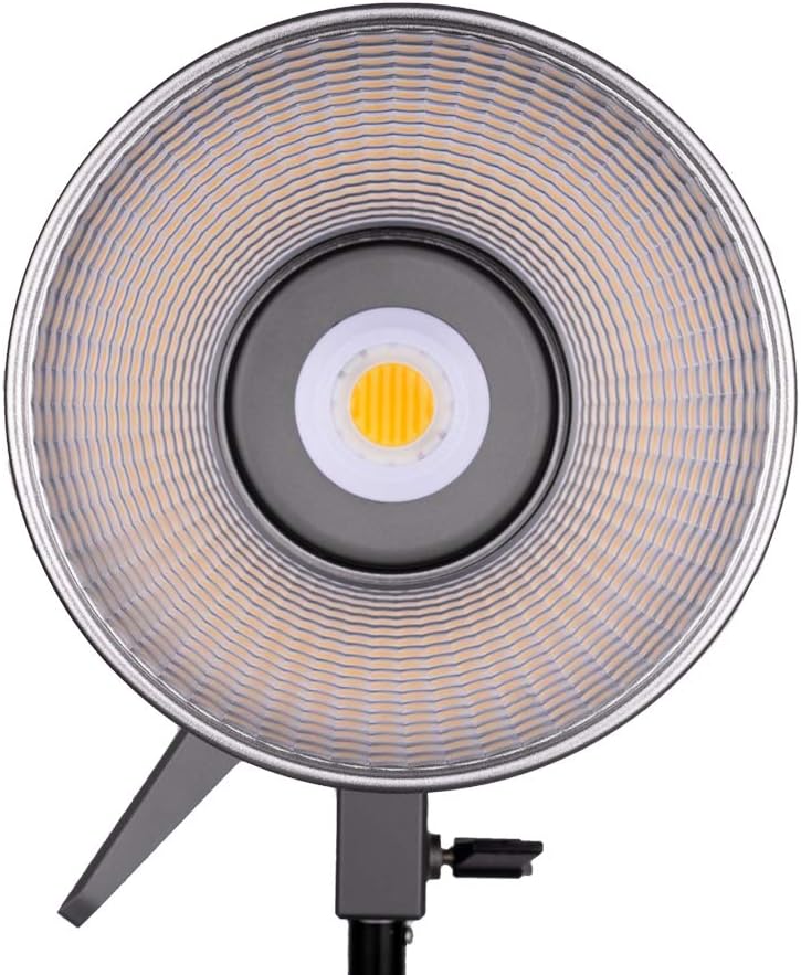 Bi-Color LED Video Light B878364