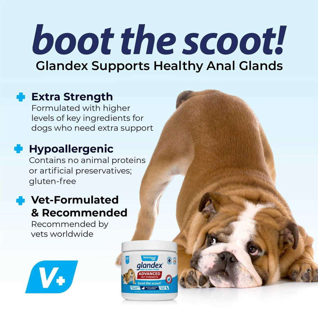 Vet Strength Chew Z262621