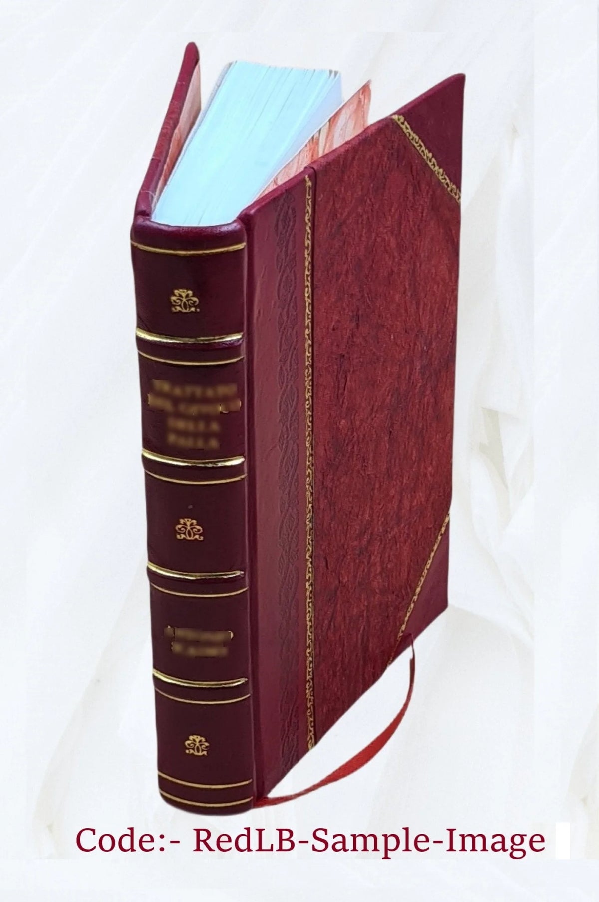 Rabbi Shalom in the shores of the Black Sea V63597