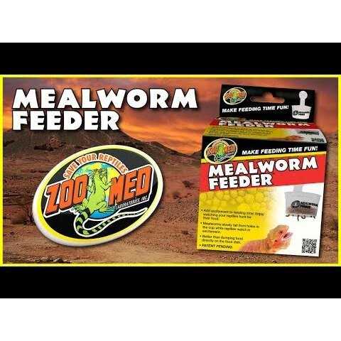 Hanging Mealworm Feeder Y802